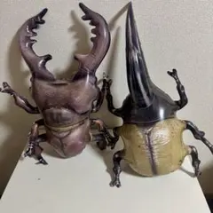 生物探検隊　虫編　ヘラクレスオオカブト　ミヤマクワガタ