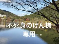 新品　ウエスタンベルト メンズ スタッズ おしゃれ アメカジ ターコイズ 黒