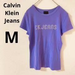 Calvin Klein Jeans 半袖ロゴTシャツ　【M】　綿100 伸縮