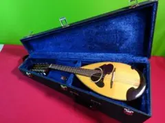 2025年最新】石川マンドリンの人気アイテム - メルカリ