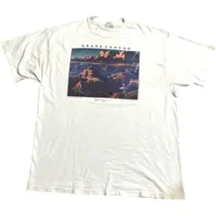 90s USA製 EdMell グランドキャニオン アート シングルステッチ
