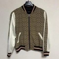 Item thumbnail for item 86a4fba9-bfbb-44e9-bb51-76d26cf8e9a0