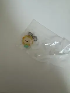 JOCHUM ビラ めじるしアクセサリー ガチャガチャ