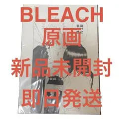 BLEACH 一護 ルキア 原画 複製原稿2枚セット 最終値下げ！ - メルカリ