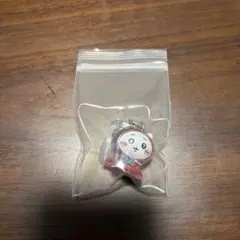 @maaaaako 様　専用出品 ちいかわ めじるしアクセサリー 3