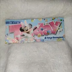 Tokyo Disneyland Today 2016