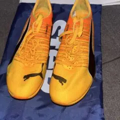 Puma evospeed future faster 377379-01 - メルカリ