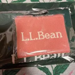 リンネル付録のみ　L.L.Bean バッグとポーチ