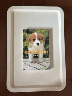 天国の犬ものがたり