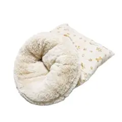 Item thumbnail for item e8460adb-43c7-4547-bbaf-3f34c328d876