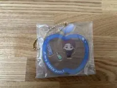 Mr's GREEN APPLE 一番くじ　E賞　若井