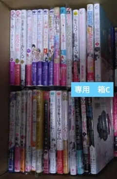 Asami Matsuo 様 専用 箱26C