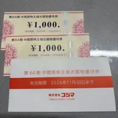 ビックカメラ　株主優待　2,000円分