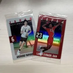 男子バレーボールウエハース2025