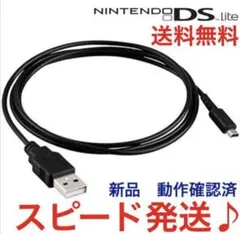 新品未使用※送料無料※DSライト/dslite 充電器 USB ケーブル互換品a