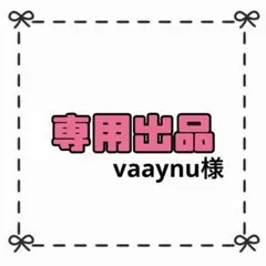 【専用出品】vaaynu様