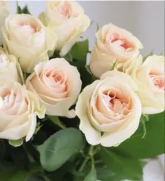 CocoDory様 リクエスト 2点 まとめ商品