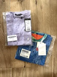 Item thumbnail for item e6026912-7fd9-45ee-9e70-19d6a4a64108