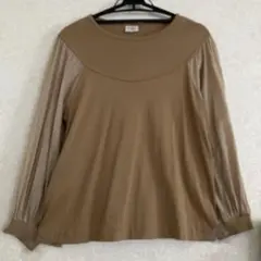 Lene レネ　袖シアー　コットン　カットソー　ベージュ　サイズフリー