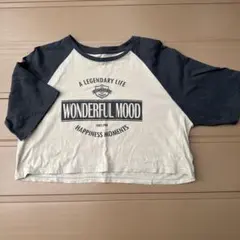 DAZY WONDERFUL MOOD クロップドTシャツ