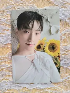 SEVENTEEN　グローバルメンバーシップ　トレカ　ディノ