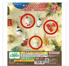 めじるしアクセサリー シーズンコレクション ～winter ornament～