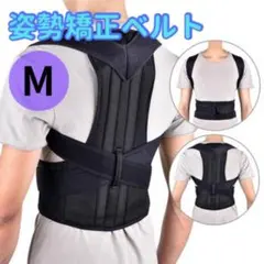 Item thumbnail for item 26f8bc33-3ceb-4c7e-9d40-3fa2a42a760c