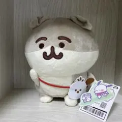 2025年最新】カナヘイの小動物ゆるっとアミューズメント