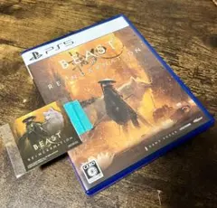 PS5 BEAST OF REINCARNATION 特典コード未使用