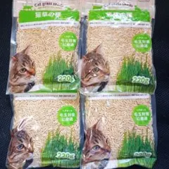 고양이 풀씨 220g x 4봉지 익일 발송!무농약 고양이 풀 종자를 메모로 대량 재배하는 방법