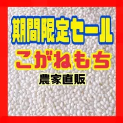 農家直販 減農薬 令和7年 こがねもち もち米 5キロ 玄米 白米も可 