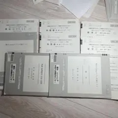 2024駿台atama+プレ共通テスト模試