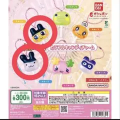 たまごっち　カラフルキャンディチャーム　まめっち　みみっち