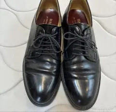 ハルタ711✖️FREDY&GLOSTER