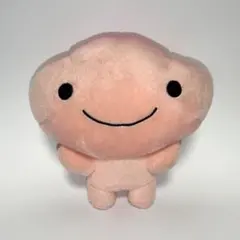 こげぱん　ぬいぐるみ　スクール編　きれいぱん　いちごパン 2025年最新】こげぱん いちごぱんの人気アイテム - メルカリ