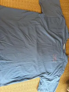 ☆値下げ！バックプリント 半袖Tシャツ ブルー系 Fサイズのサムネイル