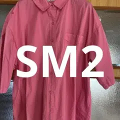 Samansa Mos2☆サマンサモスモス　半袖ブラウス　ビッグサイズ　難あり