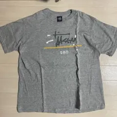 ビジョンvisionビンテージ Tシャツold skate stussy80