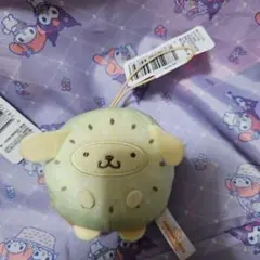 サンリオ　フルーツきぐるみマスコット　キウイ　ポムポムプリン