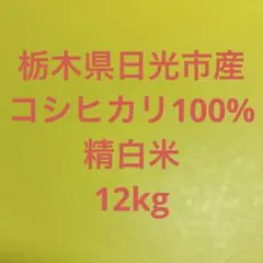 栃木県産こしひかり 送料込み - メルカリ