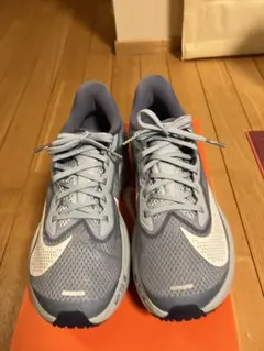 NIKE zoom FLY6 24.0㎝ ペールブルー - メルカリ