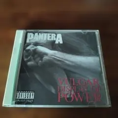 中古レコード パンテラ プロジェクツインザジャングル ファンクラブマーチャン 2026年最新】パンテラ レコードの人気アイテム - メルカリ