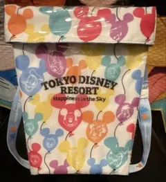 東京ディズニーリゾート ポップコーンバケット