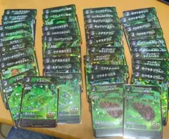 ゴクラクトリバネアゲハ