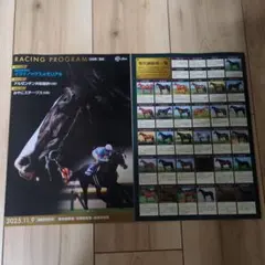 競馬 JRA 特別版レーシングプログラム2冊　レープロ　イクイノックス