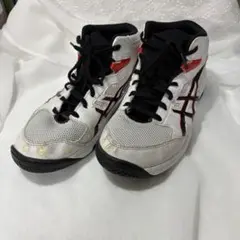 ASICS バスケットボールシューズ GEL SKY ゲルスカイ WD Ⅱ - メルカリ