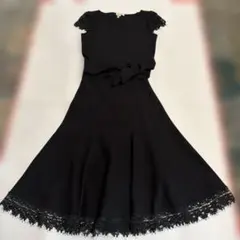 未使用】アプワイザーリッシェ パネル 刺繍 ロング ワンピース フレア 