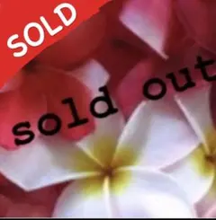 ベビードレス　お宮参りセット売り