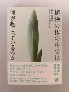 植物の体の中では何が起こっているのか