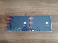 Item thumbnail for item 7eaa856d-b62f-4282-98cc-12ac808f03f9